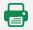 Print button